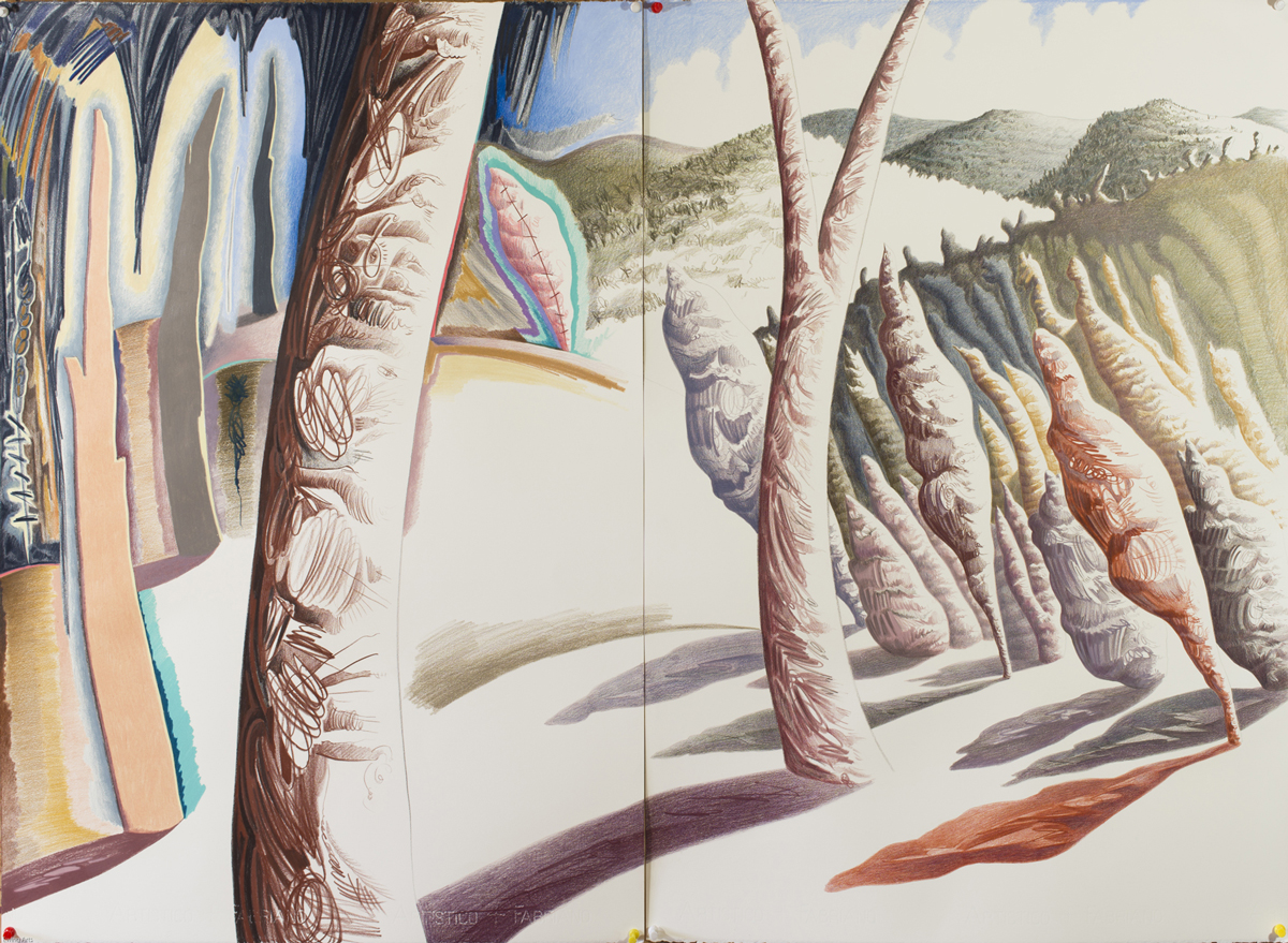 Transitional Landscape